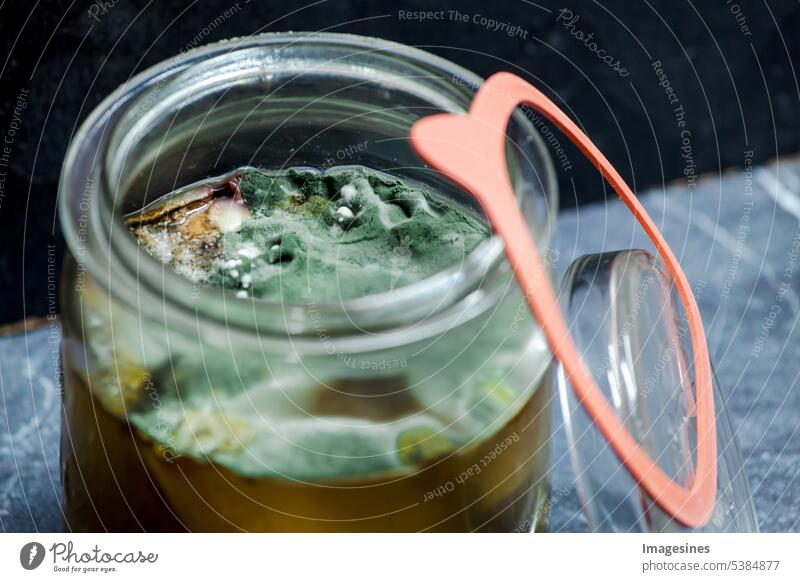 Einweckglas. Gurken im Glas. Eingelegte Gurken mit Schimmel. hausgemachte Konserven. Verdorbenes Gemüse. Konzept der Lagerbedingungen Sporen ungesund