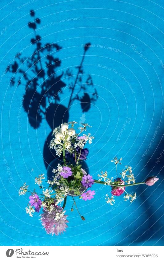 Schnittlauch und Wildblumen in einer Vase Tischdecke Storchschnabel Girsch blühend Sommer Farbfoto