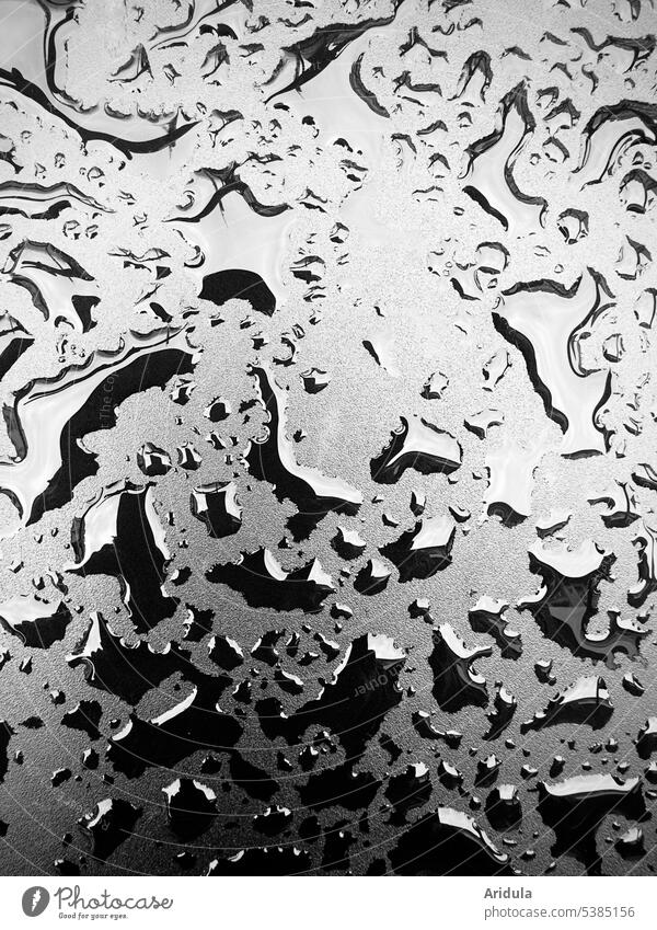 Wassertropfen auf schwarzer glatter Metallfläche s/w Oberfläche Regentropfen Licht hell dunkel nass Tropfen Reflexion & Spiegelung abstrakt