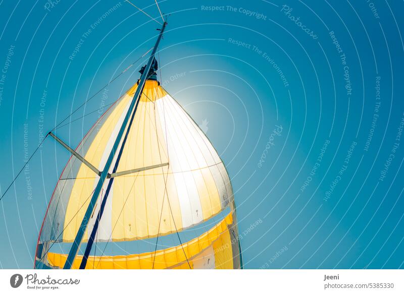 Sonnenschein und das Segel im Wind Segeln blau Himmel Abenteuer Freiheit Ferien & Urlaub & Reisen Meer Segelboot Sommer See Boot Mast Ferne Erholung