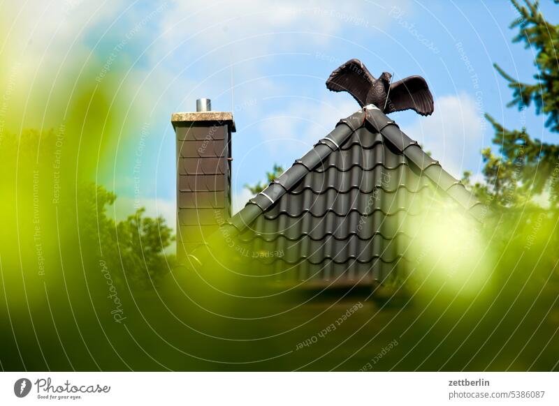 Vogel auf dem Dach haus dach spitzdach vogel rabe krähe stein deko dekoration ziegel dachziegel schornstein esse rauchfang tiefenschärfe hecke neugier spionage