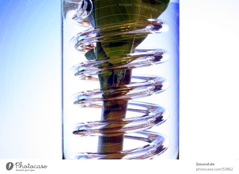 Kringelvase 1 Pflanze Blatt Stengel Vase Kreis Spirale ikea Glas