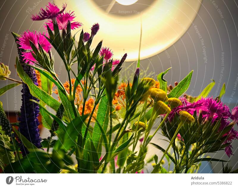 Froschperspektive | Sommerblumen unter Esstischlampe Blumen Lampe Lampenschirm Licht bunt farbenfroh Blumenstrauß Gegenlicht Dekoration & Verzierung