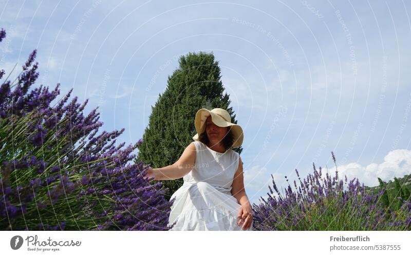 Frau mit weißem Kleid und Sonnenhut im blühenden Lavendel Feld Landschaft Himmel Natur Lila Provence grün Halbstrauch Hügel betörend Duft Wolken Blüte Sommer