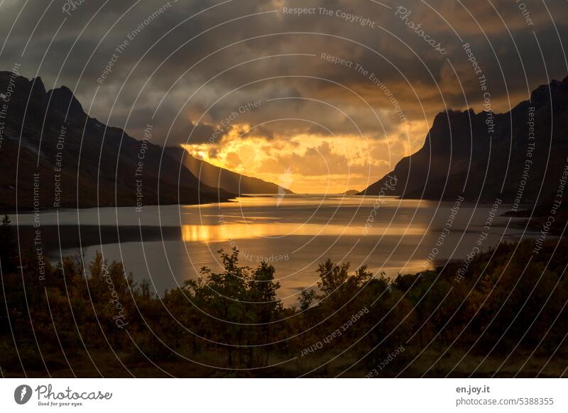 Fjord in Norwegen Tromsø Sonnenuntergang Skandinavien Ferien & Urlaub & Reisen Reisefotografie Europa Landschaft Wasser Wolken Abendlicht Lofoten Natur maritim