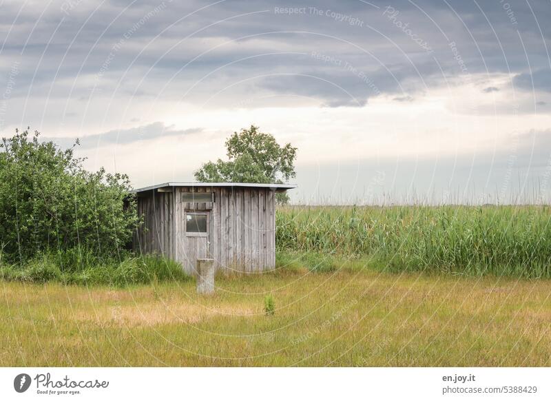 kleine Holzhütte am Rande eines Feldes mit Wiese Hütte Schutzhütte Tierbeobachtung Himmel Wolken Menschenleer Landschaft Natur Einsamkeit
