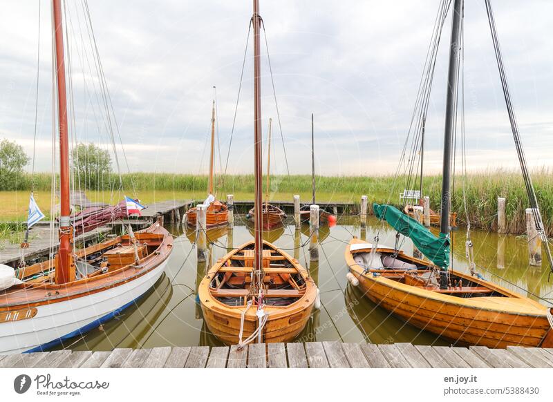 Kleine Segelboote in einem super kleinen Hafen Boote Anlegestelle Idylle Bodden Mecklenburg-Vorpommern Ahrenshoop Ostsee Hafenbecken Ferien & Urlaub & Reisen