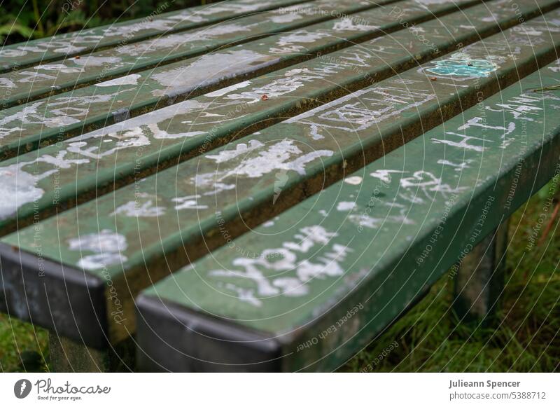 Vandalisierter grüner Picknicktisch vandalisiert Picknick-Tisch Picknickbank Graffiti Verlassen Menschenleer Farbfoto Außenaufnahme Nahaufnahme rustikal