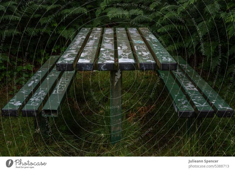 Metall-Picknicktisch mit Graffiti Picknick-Tisch Verlassen grün missbraucht alt Menschenleer Zerstörung Schaden