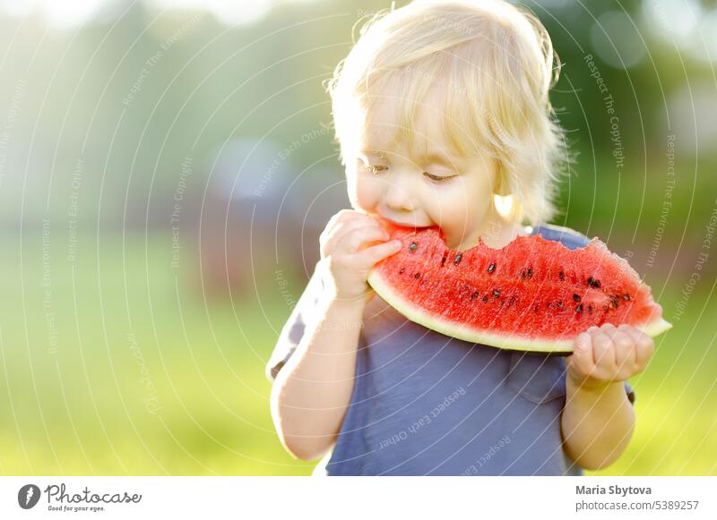 Süßer kaukasischer kleiner Junge mit blonden Haaren isst frische Wassermelone im Freien Kind Lebensmittel genießen Menschen essen Sommer Natur Mädchen weiß