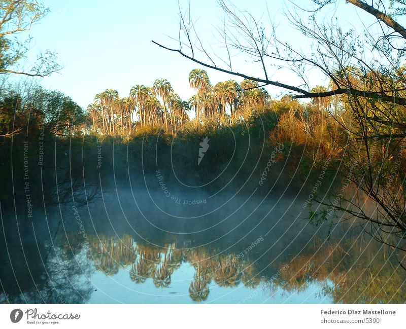 Palmar Palme Park Sonnenaufgang Bach Argentinien Wasser Natur Reflexion & Spiegelung Fluss