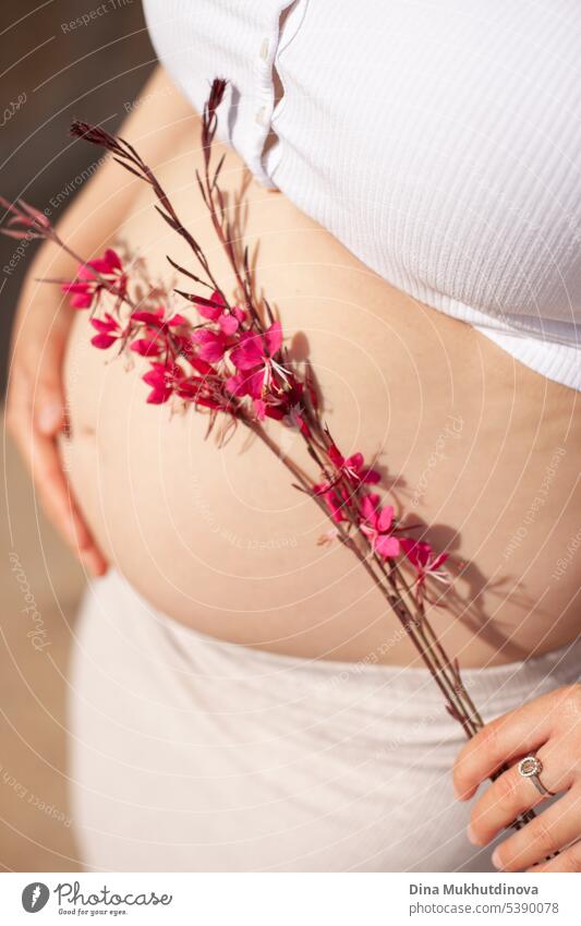 Schwangere Bauch mit rosa Blumen Nahaufnahme. Schöne Schwangerschaft. Junge Frau, die zärtlich ihren schwangeren Bauch umarmt. Eltern Tapete Diät natürlich