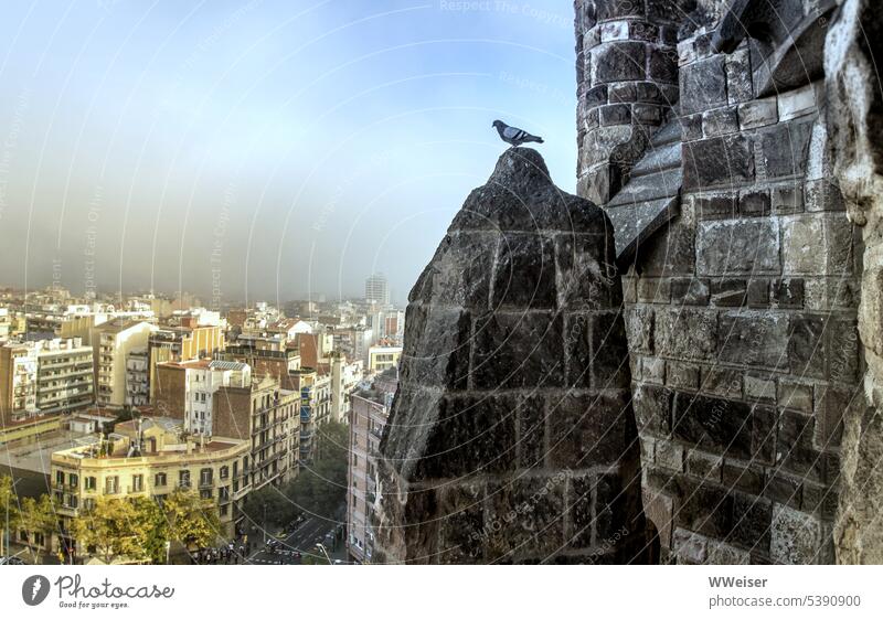 Von einer Mauer hoch oben wacht die Taube über die im Smog versunkene Großstadt Stadt Vogel Uhren bewachen Himmel Kirche Fassade Wand Steine alt historisch