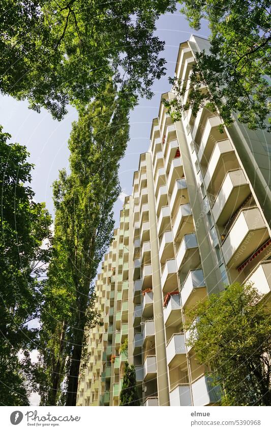 moderner Neubau - Wohnblock eingerahmt von mehreren Bäumen aus der Froschperspektive Wohnhaus Mehrfamilienhaus wohnen Plattenbau Blog Fenster bezahlbares wohnen