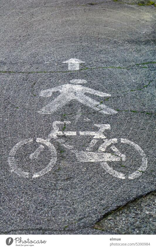 ein Pfeil und Piktogramme eines Fußgängers und eines Fahrrades auf einem Asphaltweg / Akrobatik Radweg Fußweg Radfahren laufen Asphaltstraße Blog StVO