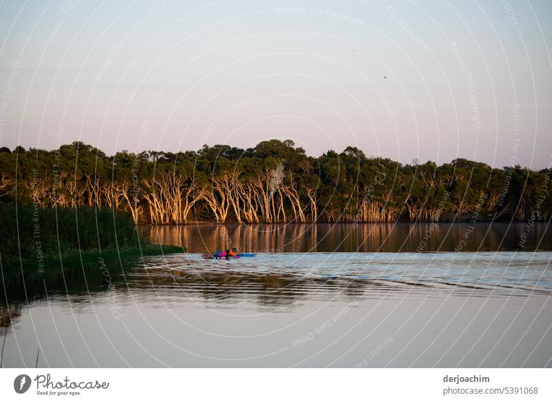 Genießen und Baden im Teebaumsee - Lake Ainsworth NSW - See Natur Himmel Seeufer Außenaufnahme Tag Menschenleer Landschaft Erholung Schönes Wetter Idylle ruhig
