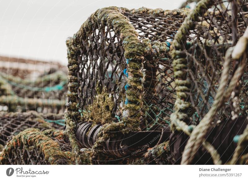 Fangt sie ein! #Krabben#Netze#Fischen#Meer#Fischer#Boote#Krabbenfang Fischernetz Fischerboot Fischerdorf