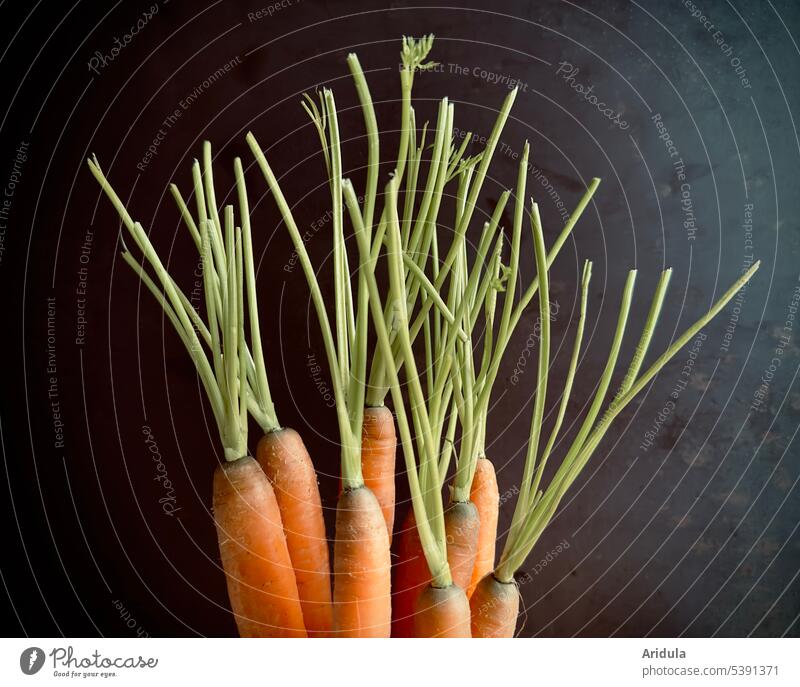 Möhren mit Grün vor schwarzer Wand Karotten Gemüse frisch Bioprodukte Lebensmittel Gesunde Ernährung Foodfotografie Essen orange Gesundheit