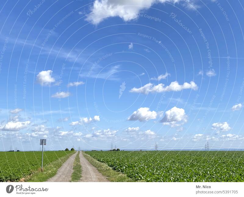 Feldweg Blauer Himmel Wolken Horizont Landwirtschaft Landschaft Wege & Pfade grün Wetter Sommer Umwelt Schilder & Markierungen Stromtrasse geradeaus flach