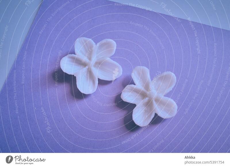 Zwei geschnitzte Seifenblüten auf lila Untergrund Blüte weiß violett Blume künstlich frisch Sauberkeit 2 Zwillinge gleich Paar schön Kosmetik Handwerk