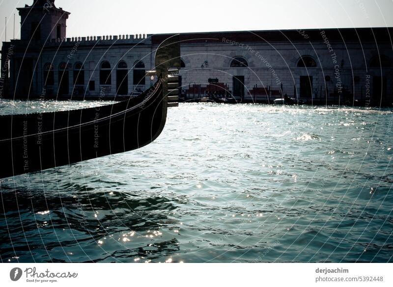 Eine Bootsfahrt in Venedig  auf dem Canal Grande, mit einer  Gondel. Gondel (Boot) Außenaufnahme Altstadt Italien Wasser Sehenswürdigkeit Farbfoto Menschenleer