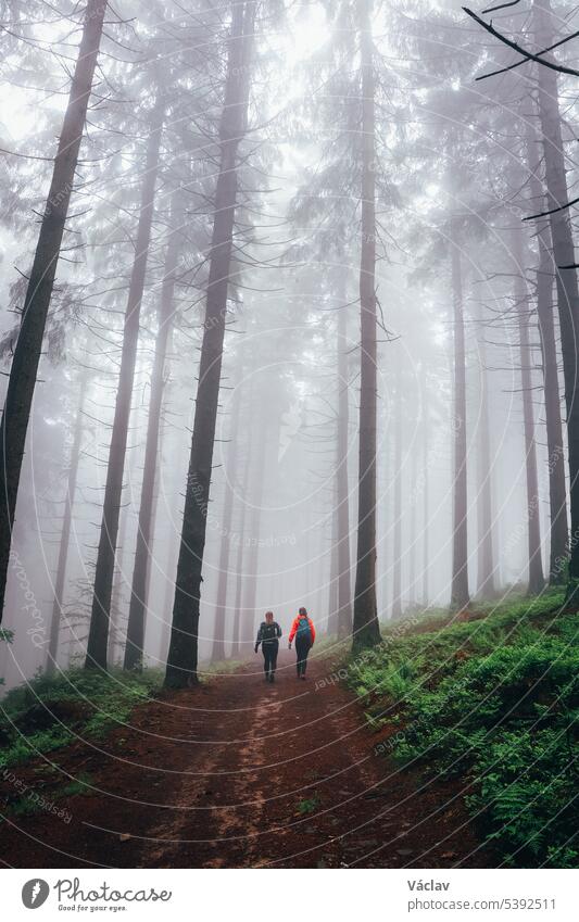 Zwei Mädchen gehen an einem regnerischen Tag durch einen dunklen Wald, der in einen trostlosen grauen Nebel gehüllt ist. Horni Becva, Vsetinsko, Beskiden Dame