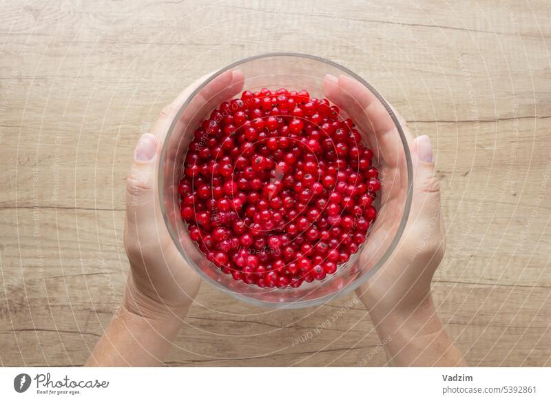 Draufsicht auf die Hände, die die Ernte roter Beeren in einer Glasvase auf dem Hintergrund eines Holztisches halten. reif weiß Vitamine Gesundheit Lebensmittel