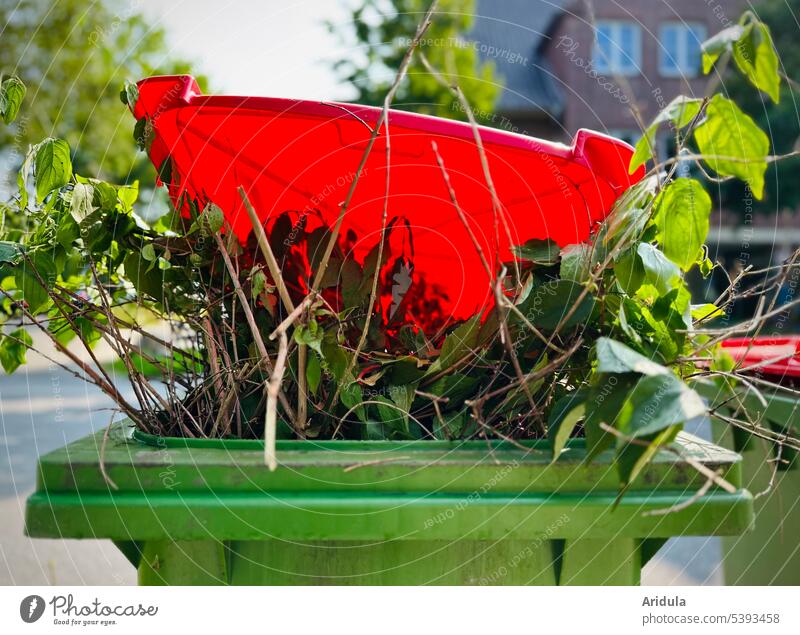 Biotonne | Der Deckel steht offen, es schauen Äste und Zweige mit Blättern raus Grünmüll Bioabfall Biomüll Umwelt Recycling Straßenrand Müll Müllabfuhr