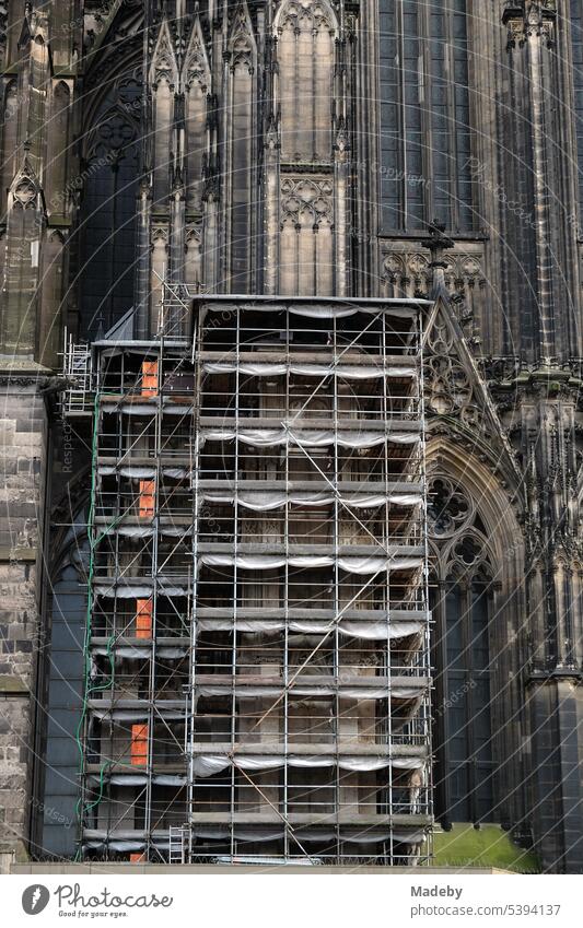 Fassade des Kölner Dom im Stil der Gotik mit Baugerüst für Renovierungsarbeiten an der Domplatte in Köln am Rhein in Nordrhein-Westfalen köln köln am rhein