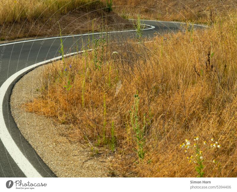 Ein Fahrradweg führt in Schlangenlinie durch eine trockene Wiese Kurve kurvig ungewiss Wege & Pfade Richtung Richtungswechsel Infrastruktur abbiegen
