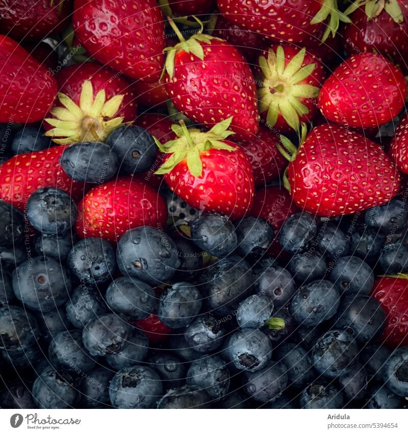 Frische Erd- und Blaubeeren Erdbeeren Heidelbeeren Ernte gewaschen lecker frisch Frucht Lebensmittel Sommer Gesundheit Beeren süß rot blau Gesunde Ernährung