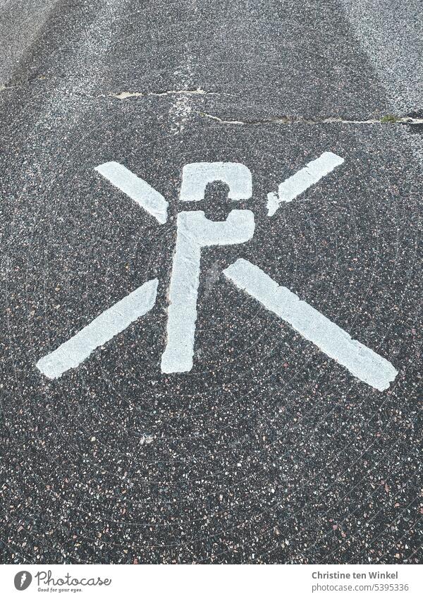 Parkverbot Schilder & Markierungen Straße Gehweg Einfahrt kein Parken kein Parkplatz Asphalt Zeichen grau weiß grafische Darstellung Symbol Piktogramm Verkehr