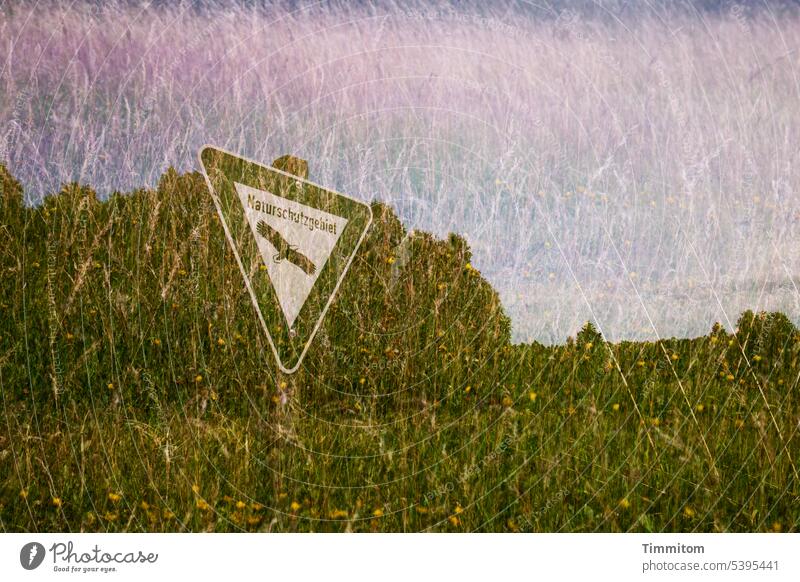 Sommer im Naturschutzgebiet Hinweisschild Pfosten Wiese Gräser Blüten Himmel Wärme Hitze heiß mehrfachbelichtung Farbfoto Menschenleer grün blau rosa