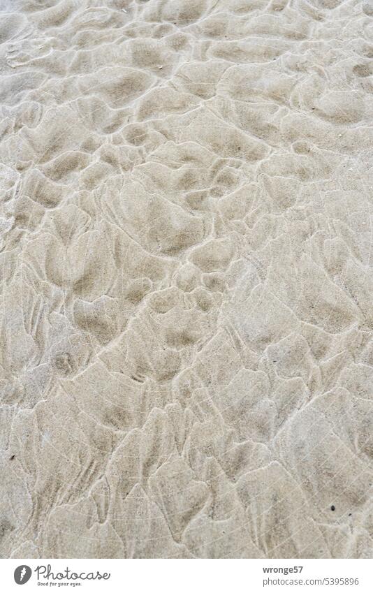 Rippelmarken am Strand Rippeln Sandstrand Strukturen Oberflächenstruktur Strukturen & Formen Natur Muster Detailaufnahme Außenaufnahme Menschenleer Farbfoto Tag