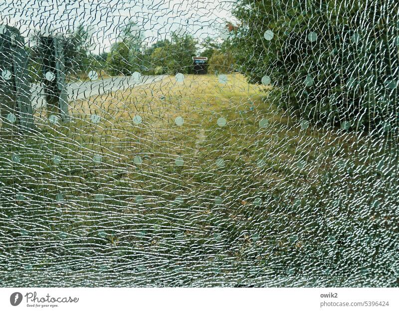 Punktuelle Gewalteinwirkung Fensterscheibe Zerbrochenes Fenster Bushaltestelle Glasscheibe Glasbruch Strukturen & Formen komplex Zerstörung Aggression bizarr