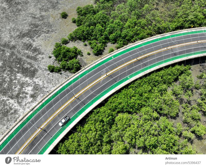 Luftaufnahme einer Kurvenstraße mit grünem Mangrovenwald und Wattenmeer. Mangroven binden CO2. Natürliche Kohlenstoffsenke. Blaue Kohlenstoff-Ökosysteme. Mangroven absorbieren Kohlendioxid. Netto-Null-Emissionen.