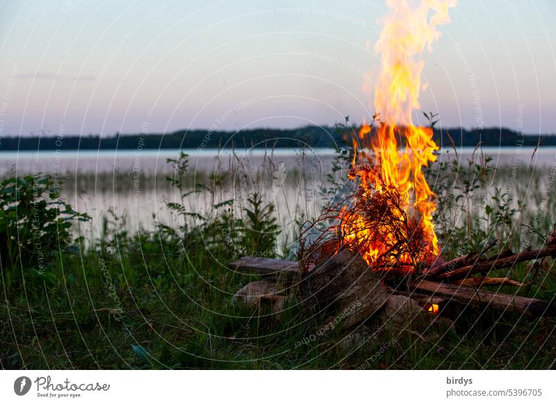 Lagerfeuer am See Feuer Flammen Feuerstelle Natur Seeufer Dämmerung Campen Wärme Wildnis Ruhe Abendhimmel