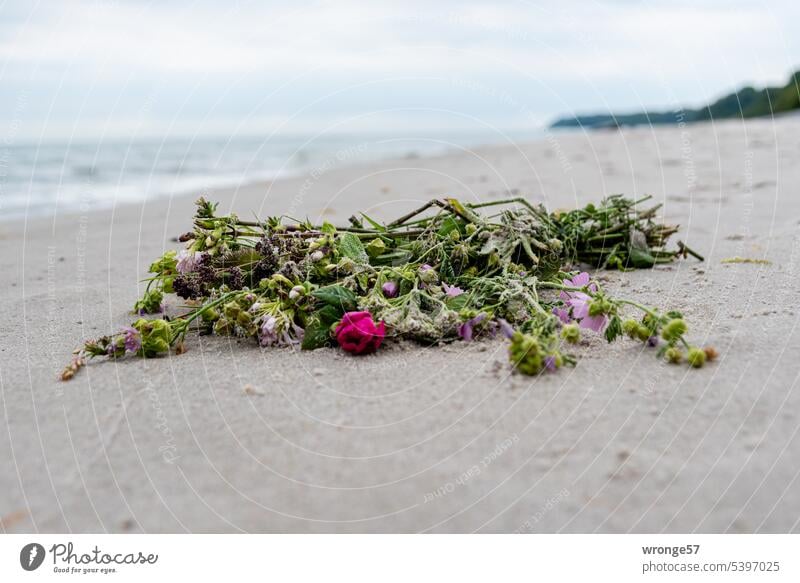 Letzter Gruß Strand Sandstrand Ostsee Blumenstrauß Handstrauß Tod Bestattung Abschied Gedenken Trauer Seebestattung Traurigkeit Vergänglichkeit