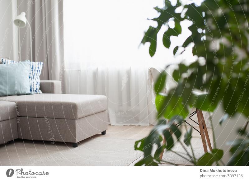 Inneneinrichtung mit Grünpflanzen, Sofa mit Kissen und großem Fenster. Minimalistische Inneneinrichtung der Wohnung. Innenbereich Pflanze grün