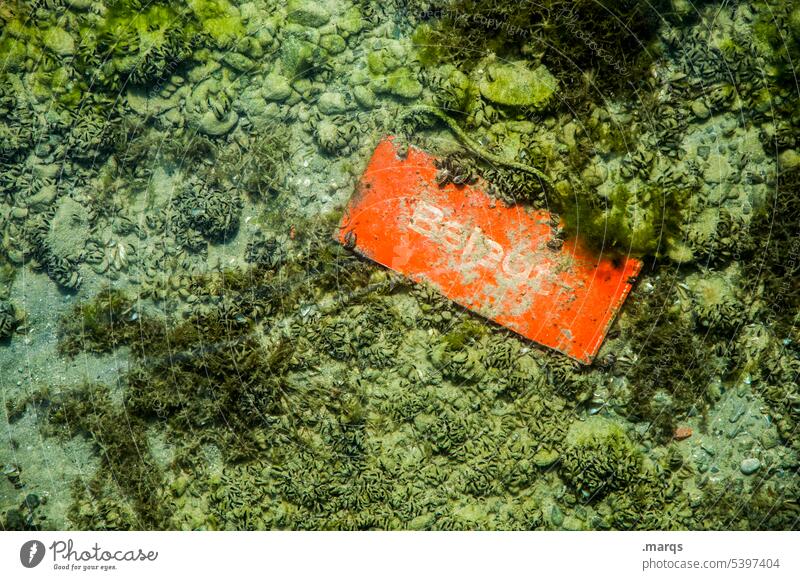 Belegt Unterwasseraufnahme Meeresboden Schilder & Markierungen Schriftzeichen belegt See skurril Umwelt Natur Naturschutz