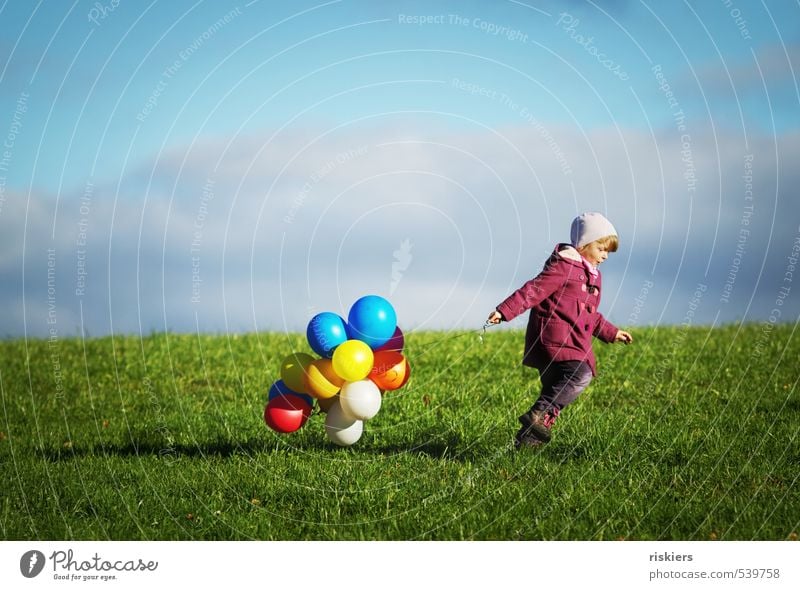 meine luftballons und ich Mensch feminin Kind Mädchen Kindheit Leben 1 3-8 Jahre Umwelt Natur Herbst Schönes Wetter Wiese Feld rennen wandern frei
