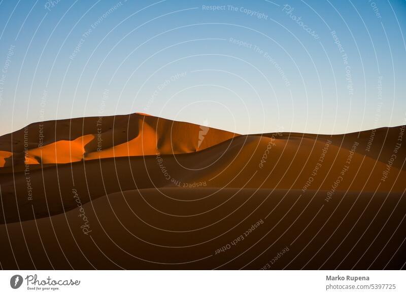 Sanddünen in der Wüste Sahara an einem sonnigen Tag mit blauem Himmel wüst Dunes Afrika Landschaft reisen Natur Marokko im Freien Hügel orange Hintergrund