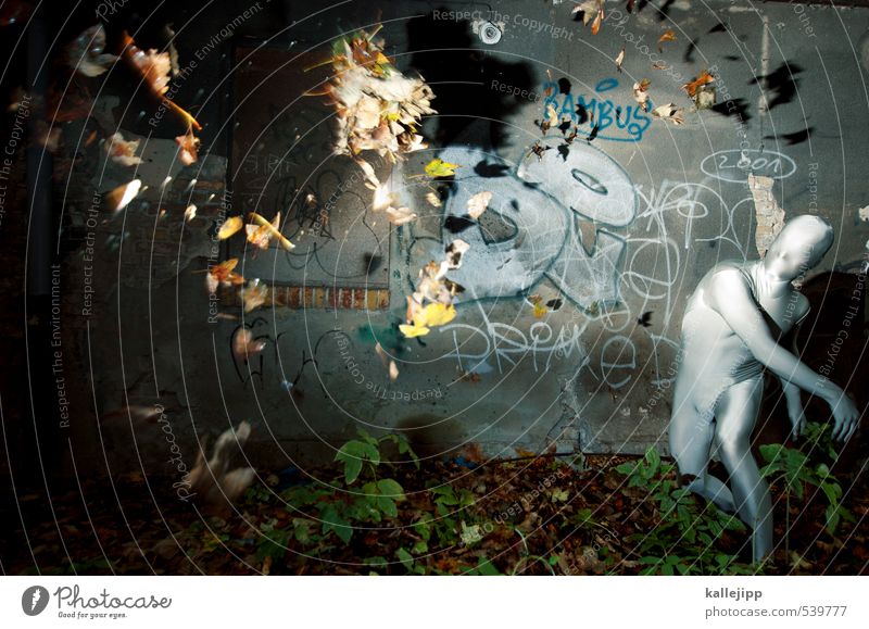 der herbst kommt Mensch maskulin Körper 1 Umwelt Natur Herbst Klima Wetter Sturm Wald Stadt Fassade Graffiti werfen Blatt Politische Bewegungen Wäscheschleuder