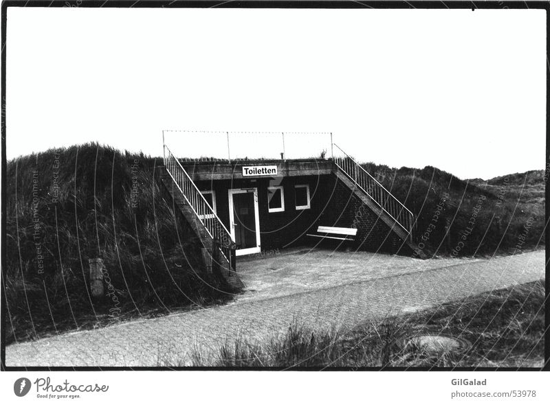 einsame Toilettten Einsamkeit schwarz weiß Gras Toilette Landschaft Stranddüne Schwarzweißfoto Treppe Wege & Pfade