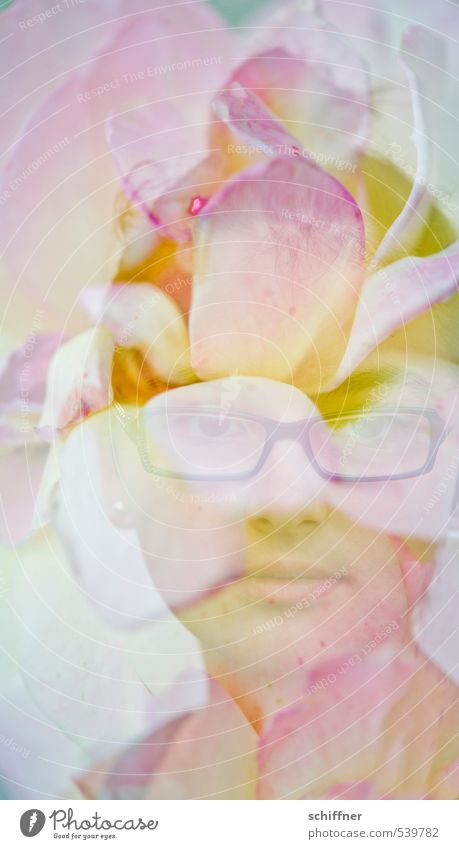 Pflanze | Blumenkind Mensch feminin Kind Mädchen Gesicht 1 8-13 Jahre Kindheit Kunst gelb rosa weiß Brille Brillenträger schön Doppelbelichtung Tierporträt