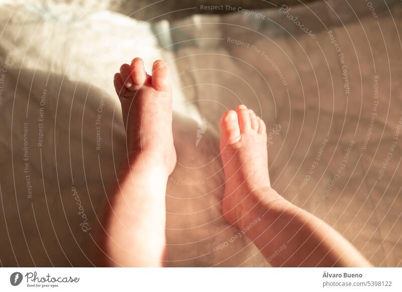 Die winzigen Beine und Füße eines Frühgeborenen, subjektiv gesehen, wie sie sich in der warmen Luft des Hauses bewegen Baby neugeboren verfrüht Ansicht