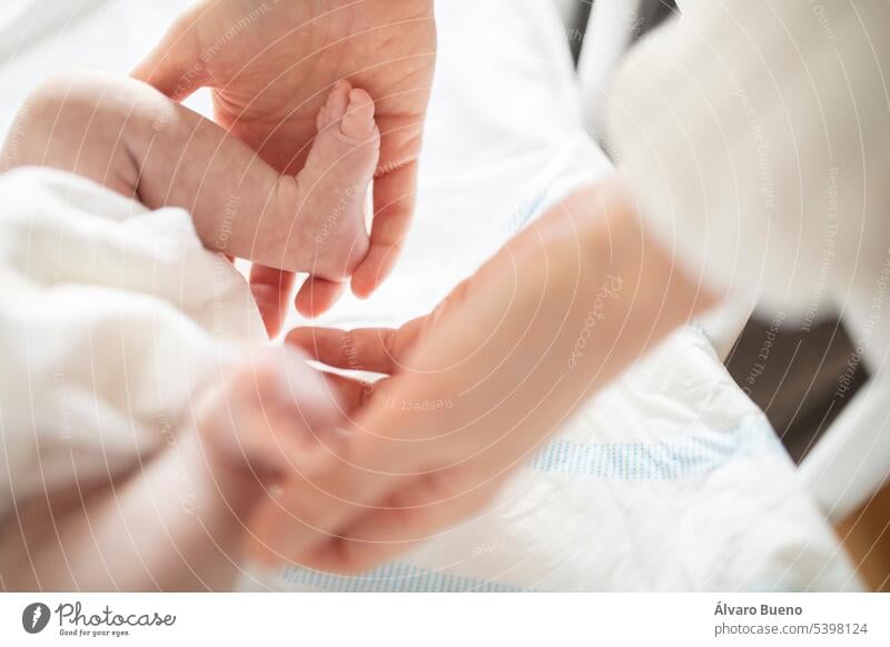 Eine frischgebackene Mutter hält sanft die kleinen Füße ihres Neugeborenen in der Wiege zu Hause Hände Baby neugeboren Beteiligung Beine neue Mutter verfrüht
