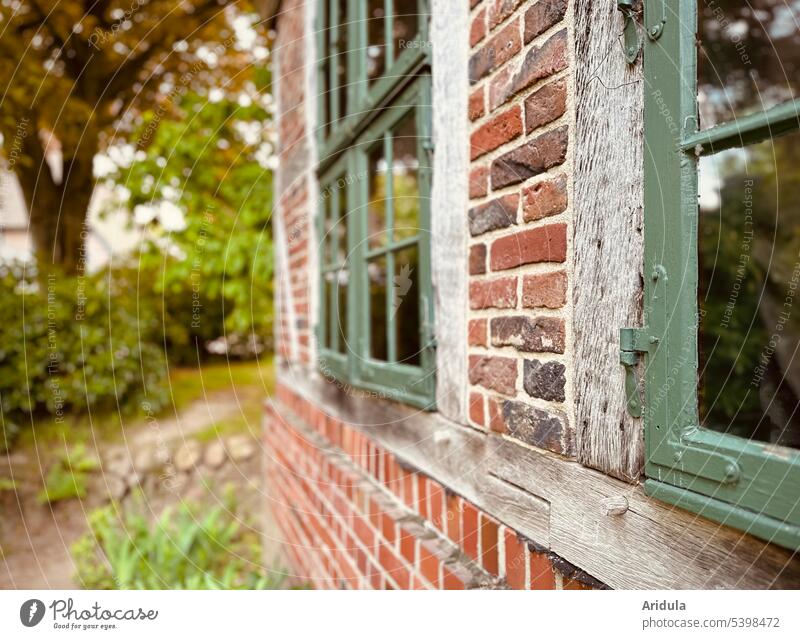 Herbststimmung | altes Fachwerkhaus mit grünen Fensterrahmen Haus Fassade Gebäude Architektur historisch Außenaufnahme Wand Backstein Bauernhof Garten Bäume