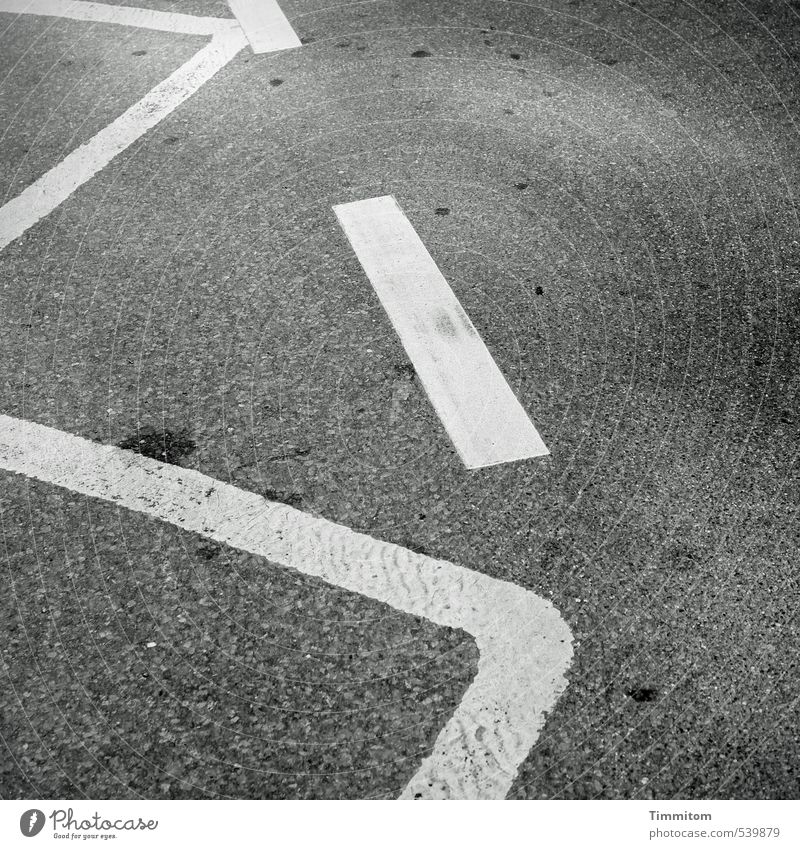 Also, das...? Straße Schilder & Markierungen ästhetisch einfach grau weiß Asphalt Linie Schwarzweißfoto Fleck Außenaufnahme Menschenleer Tag