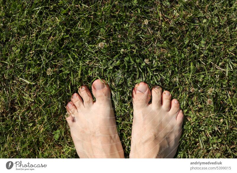 Barfuß auf frischem hellgrünem Gras an einem heißen Tag. Männliche Füße stehen auf Rasen im Freien. Freiheit, Sommer entspannen Konzept. Tag der Erde. Erdung oder geerdetes Yoga. Rustikaler Lebensstil. Ansicht von oben.